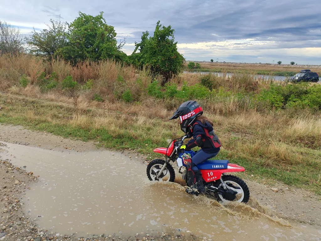 Coordonare și reflexe